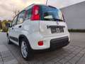 Fiat Panda Panda 1.0 GSE Hybrid City Life/38 Tkm/Sitzhzg+PDC Blanc - thumbnail 4