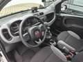 Fiat Panda Panda 1.0 GSE Hybrid City Life/38 Tkm/Sitzhzg+PDC Blanc - thumbnail 23