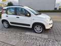 Fiat Panda Panda 1.0 GSE Hybrid City Life/38 Tkm/Sitzhzg+PDC Blanc - thumbnail 5