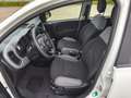 Fiat Panda Panda 1.0 GSE Hybrid City Life/38 Tkm/Sitzhzg+PDC Blanc - thumbnail 13