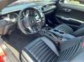 Ford Mustang Fastback 5.0 Ti-VCT V8 GT, USA-Premium-Ausstattung - thumbnail 5