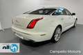 Jaguar XJ XJ 3.0D V6 Premium Luxury Blanc - thumbnail 4