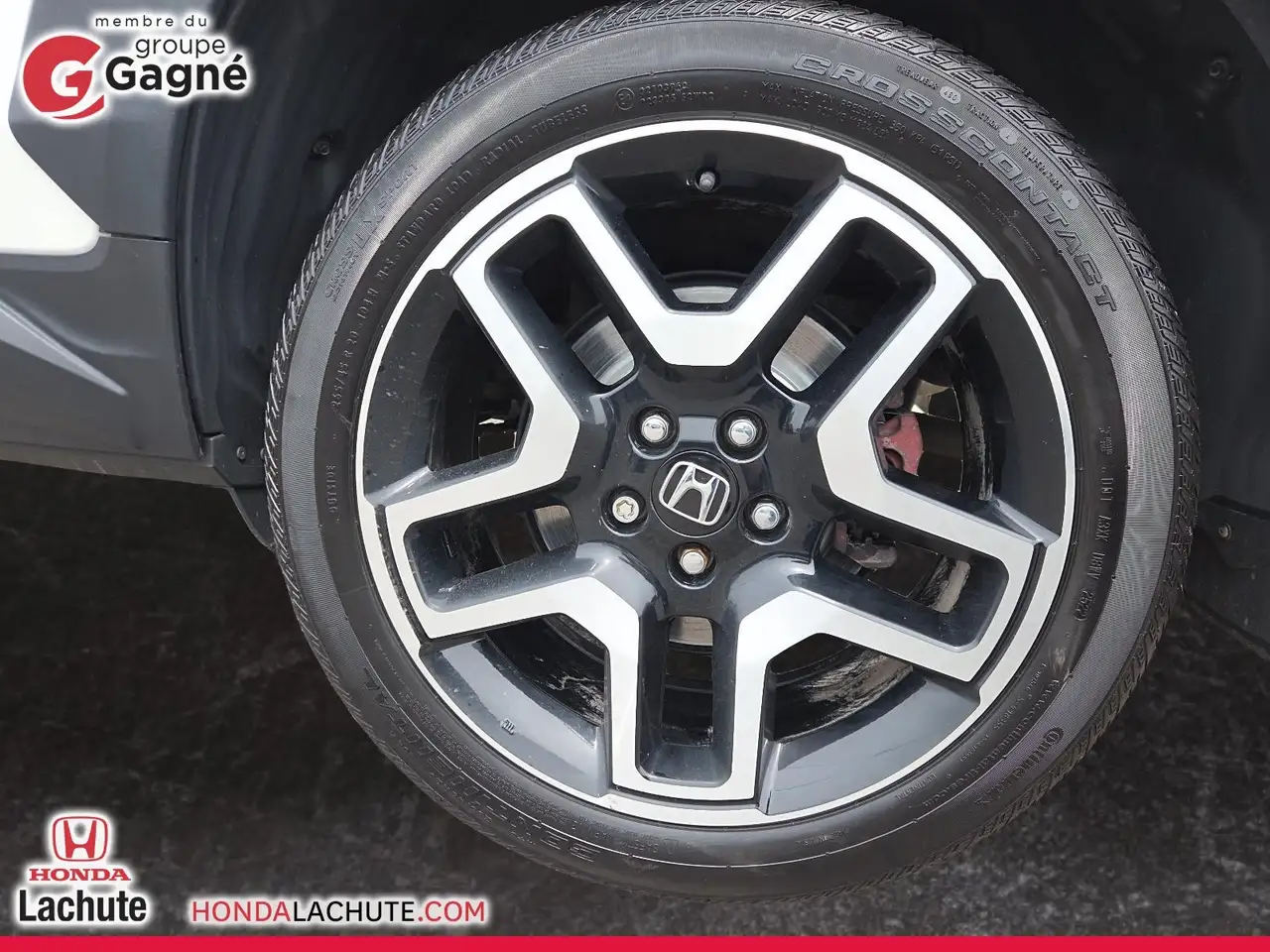Honda Passport снимка Honda Passport