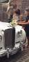 Bentley S1 lusso Blanc - thumbnail 2