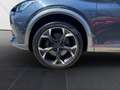 CUPRA Formentor 2.0 4Drive *Navi*Winter*CarPlay*Memory* Grau - thumbnail 11