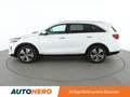 Kia Sorento 2.2 CRDi Platinum Edition 4WD Aut*NAVI*LED*ACC*CAM Weiß - thumbnail 3