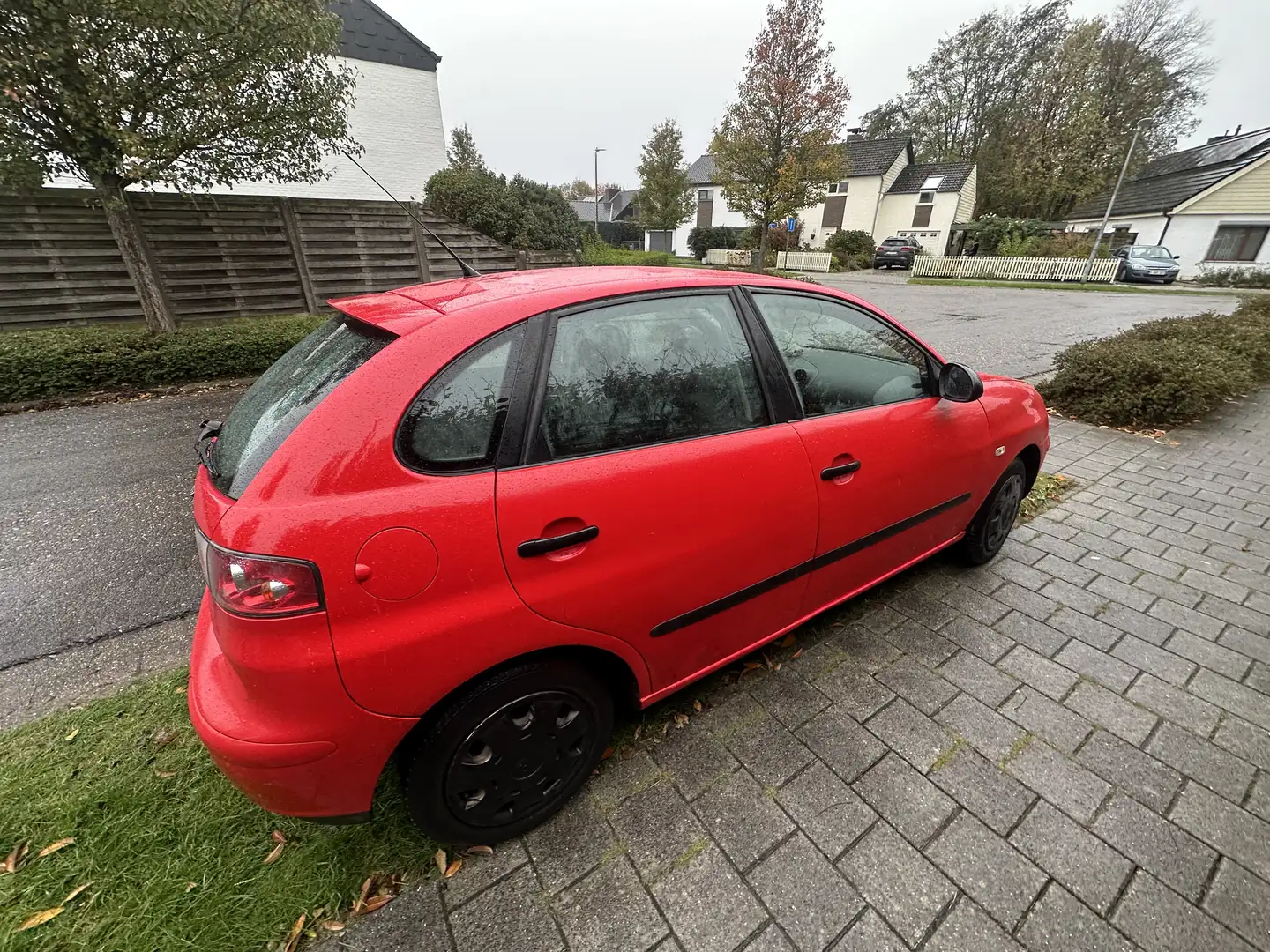 SEAT Ibiza 1.4 16V Sport Edition - 2