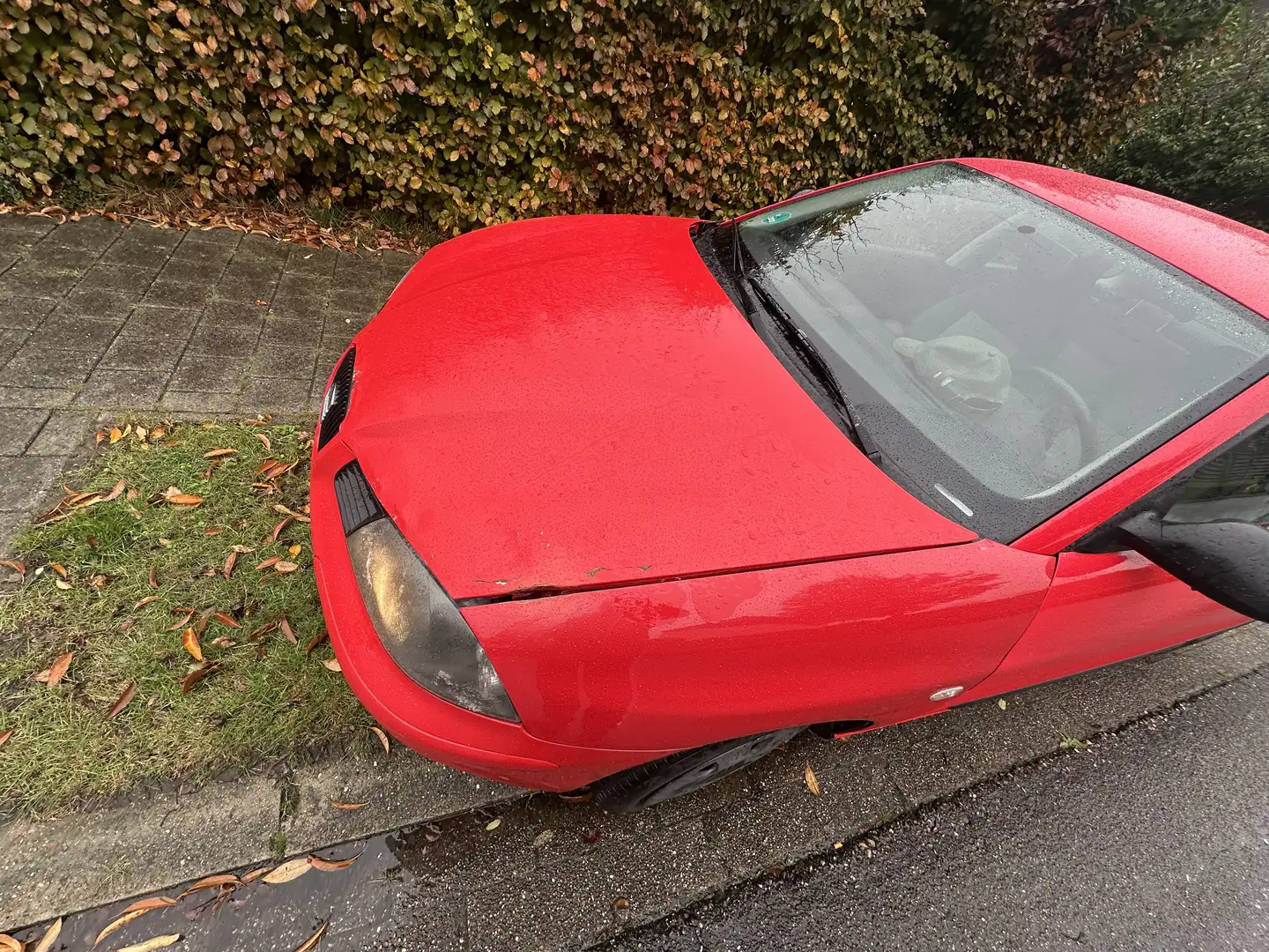 SEAT Ibiza 1.4 16V Sport Edition - 1