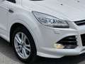 Ford Kuga Titanium S - AWD AHK - Zahnriemen/WaP NEU Weiß - thumbnail 2