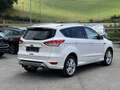 Ford Kuga Titanium S - AWD AHK *Zahnriemen NEU* Weiß - thumbnail 3