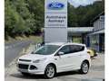 Ford Kuga Titanium S - AWD AHK - Zahnriemen/WaP NEU Weiß - thumbnail 1