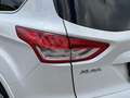 Ford Kuga Titanium S - AWD AHK - Zahnriemen/WaP NEU Weiß - thumbnail 4