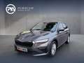 Skoda Scala Selection TSI Grau - thumbnail 1