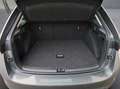 Skoda Scala Selection TSI Grau - thumbnail 14