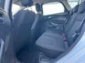 Ford Focus Focus SW 1.5 tdci Business Autocarro N1 Bianco - thumbnail 13