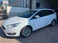 Ford Focus Focus SW 1.5 tdci Business Autocarro N1 Bianco - thumbnail 3