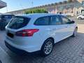 Ford Focus Focus SW 1.5 tdci Business Autocarro N1 Bianco - thumbnail 5