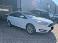 Ford Focus Focus SW 1.5 tdci Business Autocarro N1 Bianco - thumbnail 1