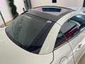 Mercedes-Benz SLK 250 CDI BE AMG Line 7G Plus Wit - thumbnail 47