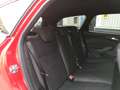 Ford Focus 1.5 Red & Black Edition / ST Line Rood - thumbnail 20