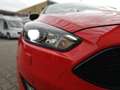Ford Focus 1.5 Red & Black Edition / ST Line Rood - thumbnail 8