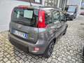 Fiat Panda Panda  1.0 firefly hybrid City Life Grau - thumbnail 3