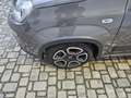 Fiat Panda Panda  1.0 firefly hybrid City Life Grau - thumbnail 7