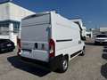Fiat Ducato furgone 33q 140cv Mh2 Weiß - thumbnail 7