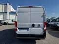 Fiat Ducato furgone 33q 140cv Mh2 Weiß - thumbnail 6
