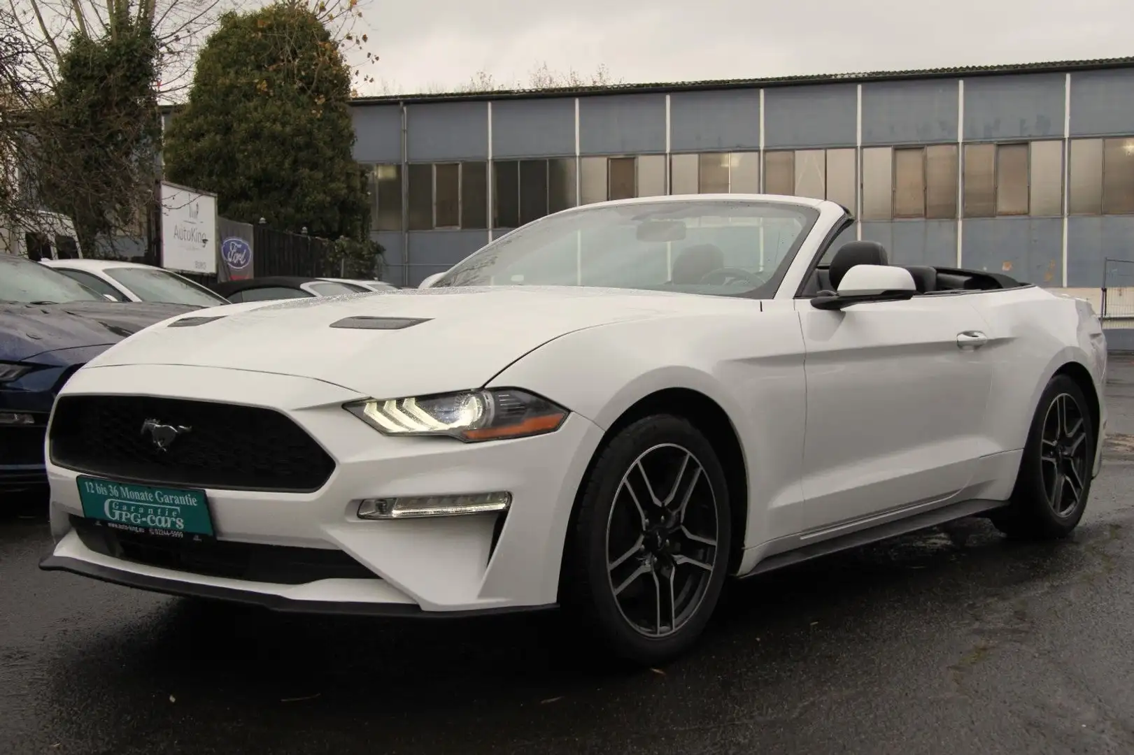 Ford Mustang 2.3 Cabrio|Voll|Navi|SHZ|Keyles|10Gang Weiß - 1