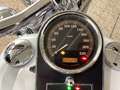Harley-Davidson Softail Deluxe Dr. Jekyll and Mr. Hyde Bílá - thumbnail 10