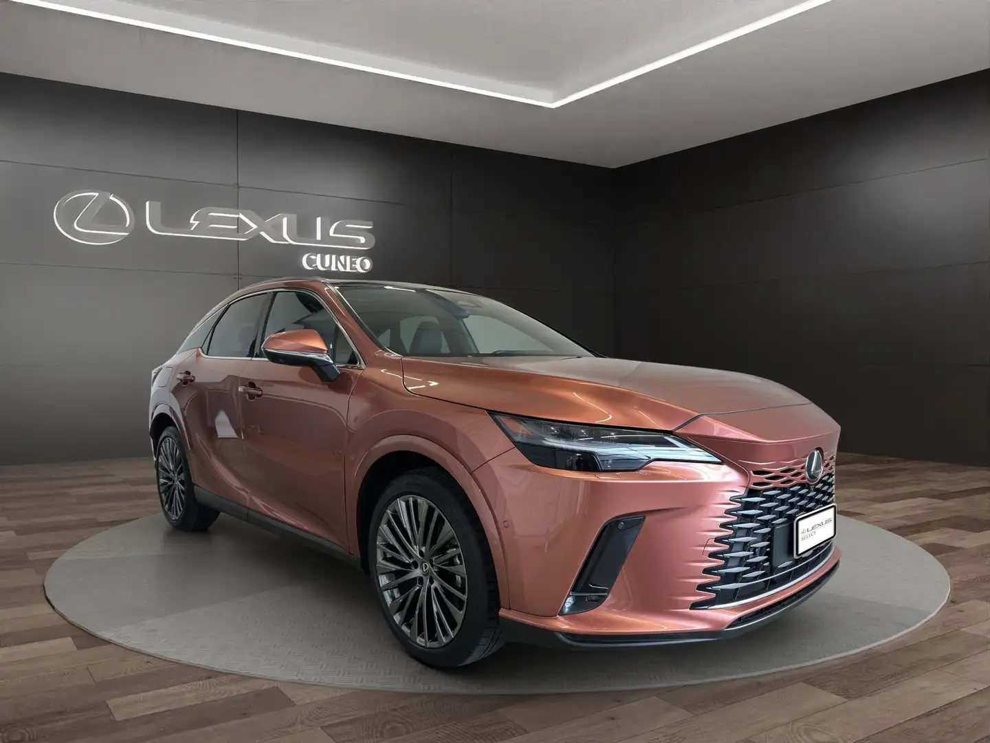 Lexus RX 450h RX 450h+ 2.5 phev Luxury e-cvt Bronzo - 2