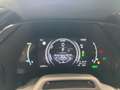 Lexus RX 450h RX 450h+ 2.5 phev Luxury e-cvt Bronzo - thumbnail 12
