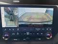 Lexus RX 450h RX 450h+ 2.5 phev Luxury e-cvt Bronzo - thumbnail 13