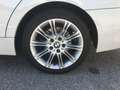 BMW 318 Touring 318d Eletta 143cv Bianco - thumbnail 4