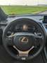 Lexus NX 300h NX I 2014 300h 2.5 F-Sport 4wd cvt Grey - thumbnail 7