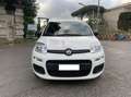 Fiat Panda 1.0 firefly hybrid City Life AZIENDALE KM34212 Bianco - thumbnail 7