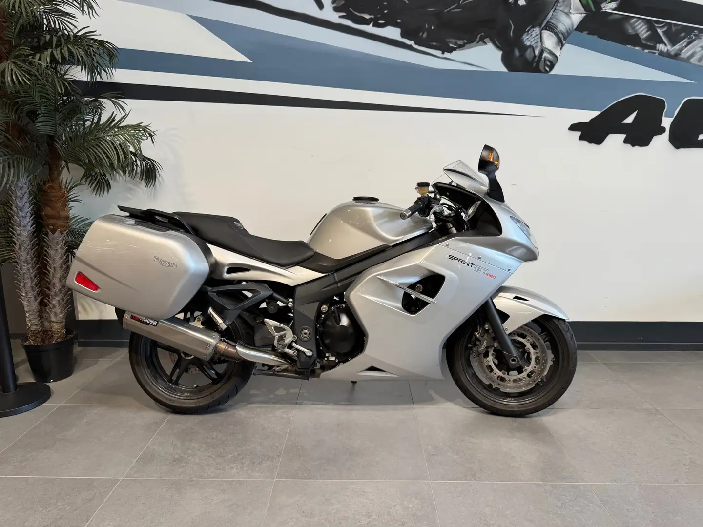 Triumph Grigio - 1