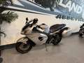 Triumph Grigio - thumbnail 5