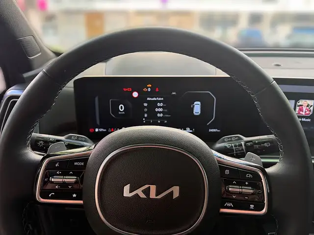 Kia Sorento 1,6 T-GDi Plug-In Hybrid GPF AWD Platin Aut. Ansicht 16
