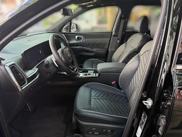 Kia Sorento 1,6 T-GDi Plug-In Hybrid GPF AWD Platin Aut. Ansicht 13