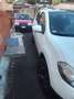 Nissan Qashqai+2 2.0 dci 4x4 allestimento tekna Bianco - thumbnail 3