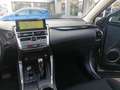 Lexus NX 300 Hybrid 4WD Business   iva compresa Grigio - thumbnail 14