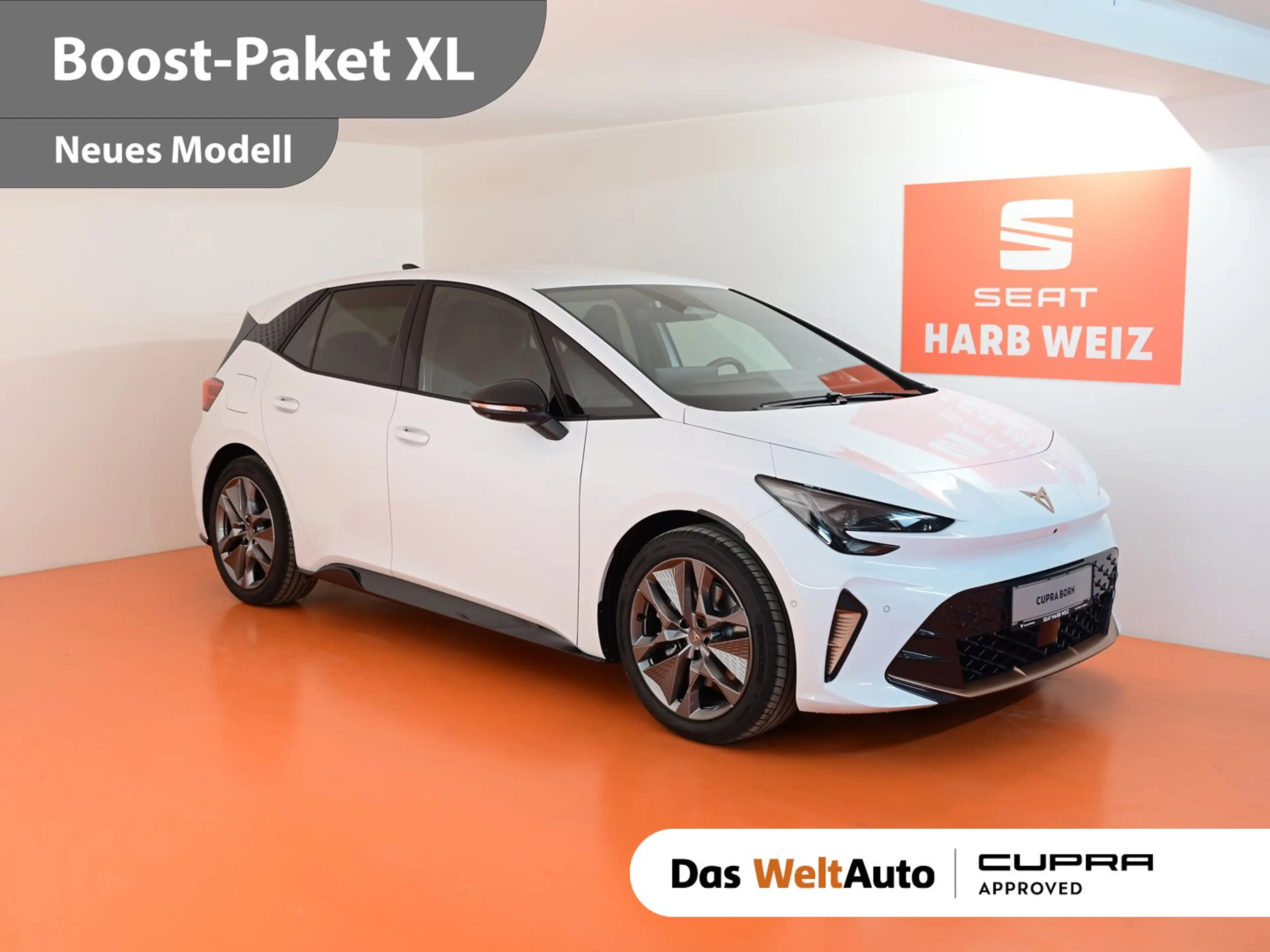 CUPRA Born ENDURANCE 79/84 170kW/231PS