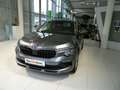 Skoda Kamiq Selection TSI Grau - thumbnail 1