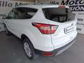 Ford Kuga 1.5 ECOBOOST 88KW TREND 120 5P Blanco - thumbnail 25