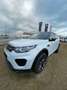 Land Rover Discovery Sport 2,0 TD4 SE AWD Landmark AHK Xeno Weiß - thumbnail 1