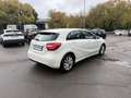 Mercedes-Benz A 180 Classe A - W176 cdi (be) Executive Blanc - thumbnail 5