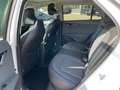 Kia Niro 1.6 Plug-in Hybrid Spirit *Glasdach* Alb - thumbnail 9