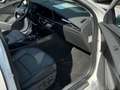 Kia Niro 1.6 Plug-in Hybrid Spirit *Glasdach* Weiß - thumbnail 13